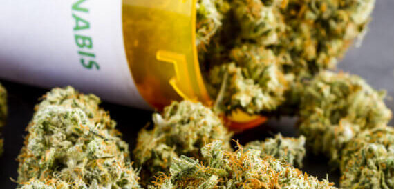 Medical Cannabis Doctor